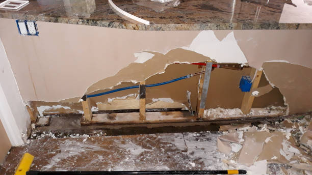 Best Residential water damage restoration  in Twin Lake, MI