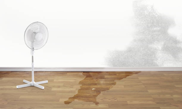 Water damage restoration insurance claims in MI