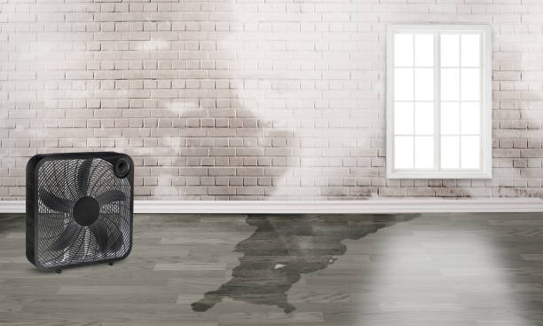 Best Commercial water damage restoration  in Twin Lake, MI