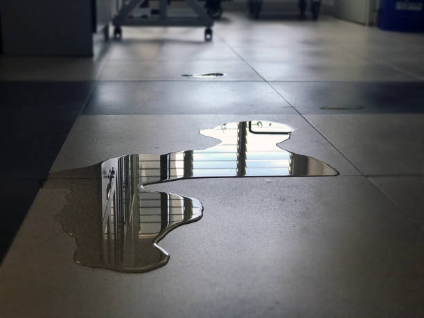 Best Carpet water damage restoration  in Twin Lake, MI