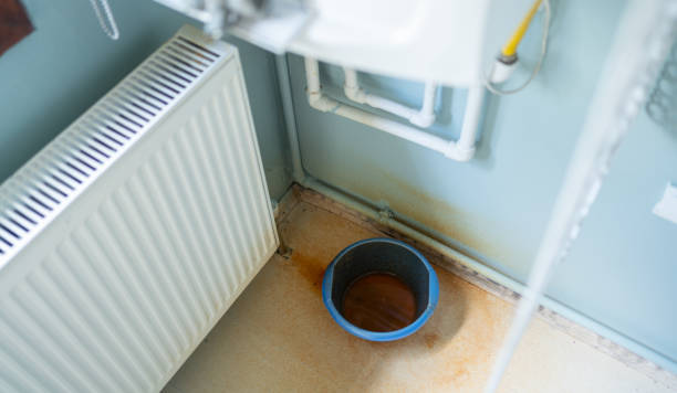Best Mold removal after water damage  in Twin Lake, MI