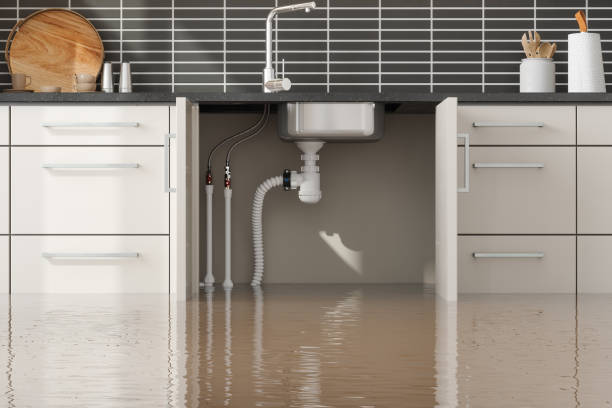 Best Water damage restoration insurance claims  in Twin Lake, MI